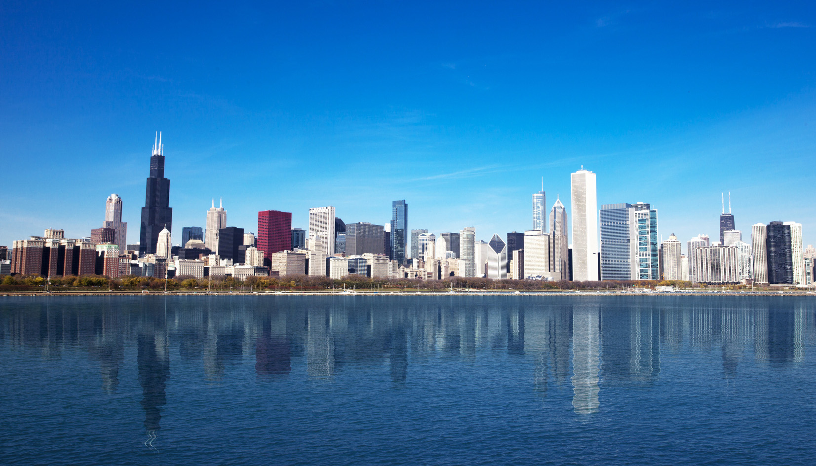 web design in Chicago